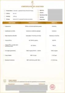 L-Carnitine 1200 mg batch COA: first page, low-resolution preview